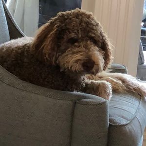 Meet your Posher, Kristina